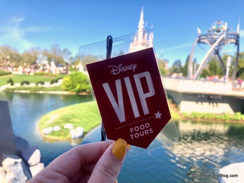 Taste of Magic Kingdom Park VIP Tour