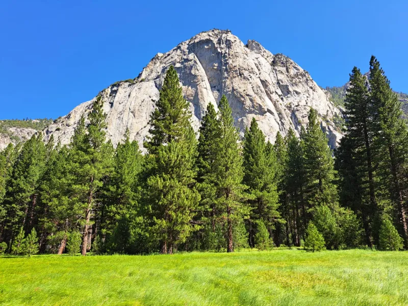 Zumwalt Meadow