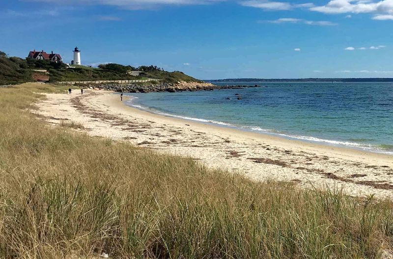 Tide Pools and Sea Grasses at Cape Cod National Seashore, Massachusetts