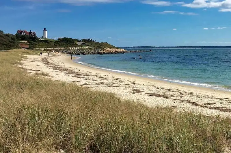 Tide Pools and Sea Grasses at Cape Cod National Seashore, Massachusetts