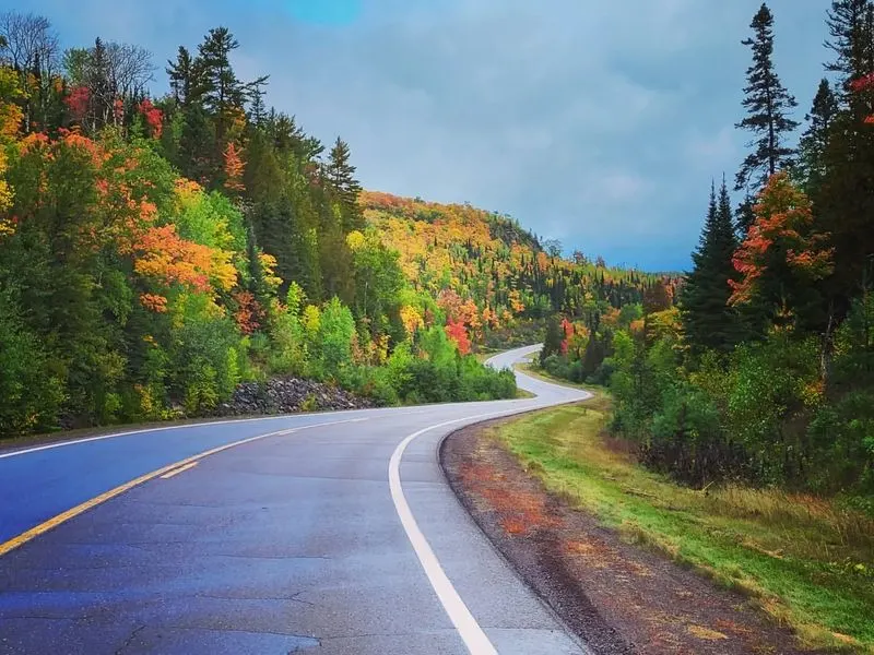 North Shore Forests of Birch and Pine