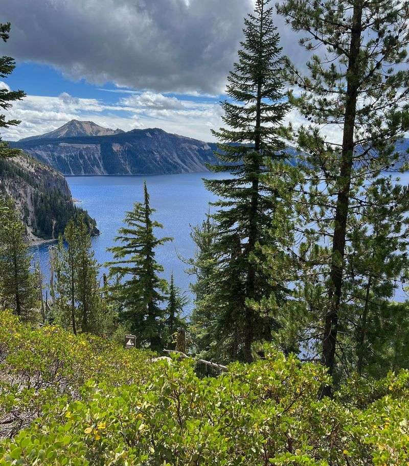 Forests Guarding the Lake's Purity