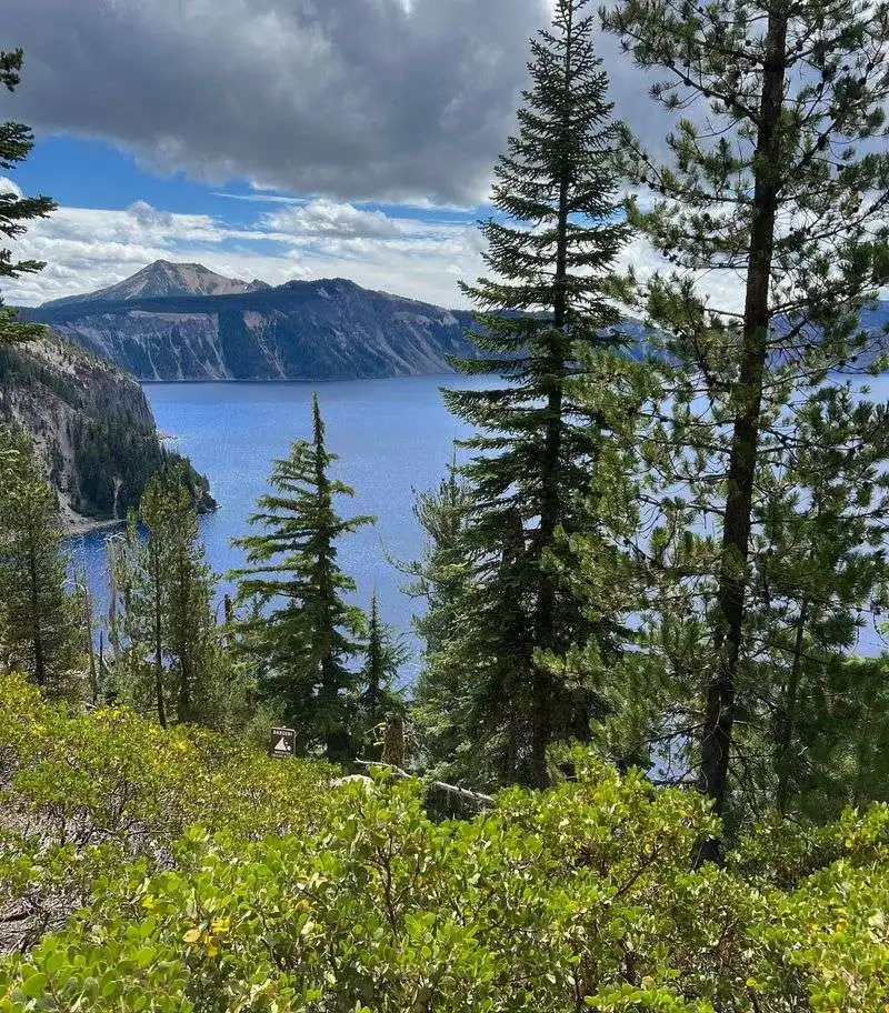 Forests Guarding the Lake's Purity