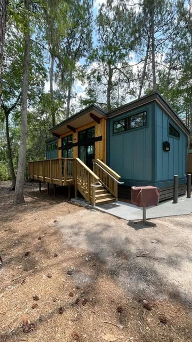 Ferns and Shade Plants Around the Cabins