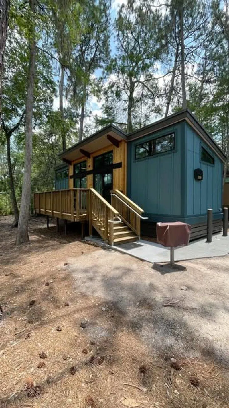 Ferns and Shade Plants Around the Cabins