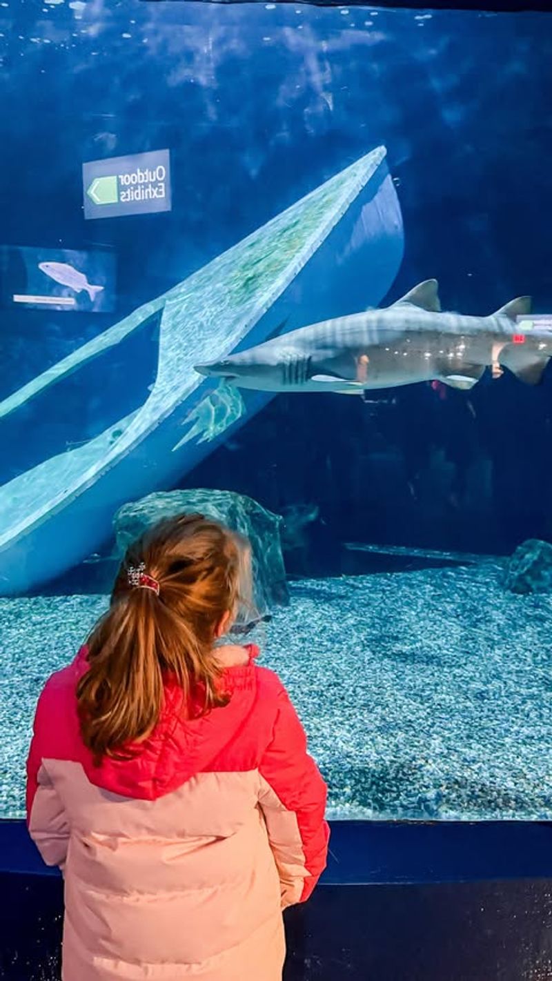 Mystic, Connecticut – Mystic Seaport & Aquarium