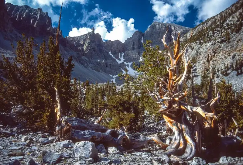 Great Basin National Park, Nevada