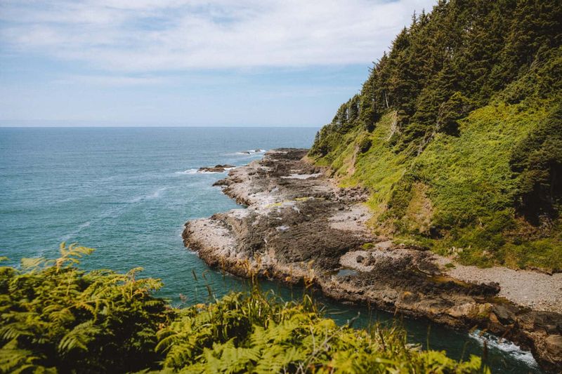 Cape Perpetua Scenic Area