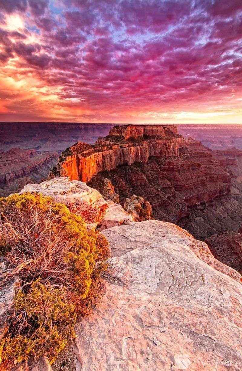 Grand Canyon National Park