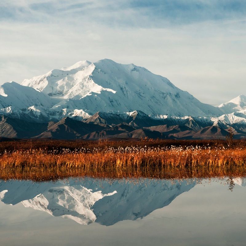 Denali National Park (Alaska)