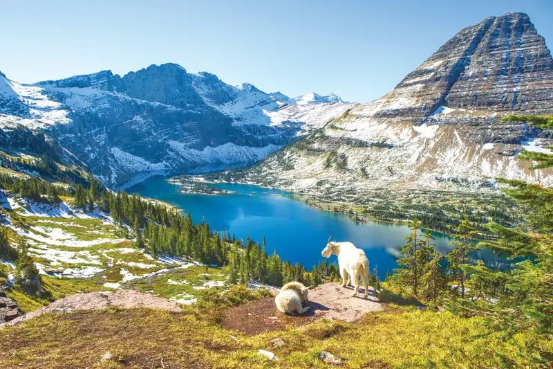 Glacier National Park (Montana)