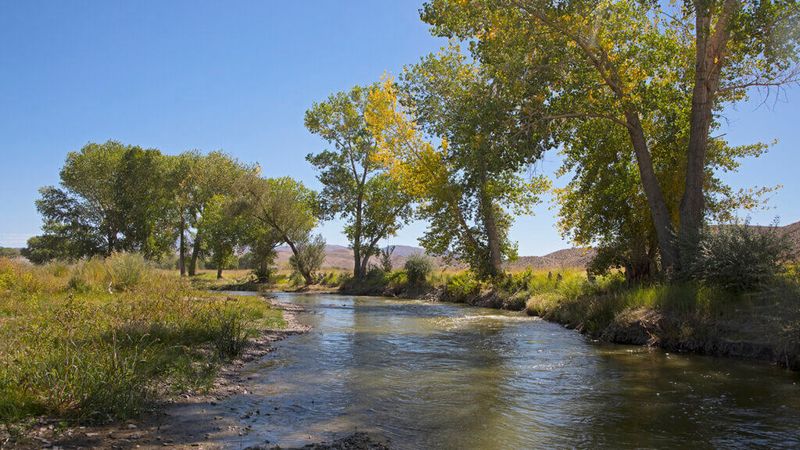 Walker River