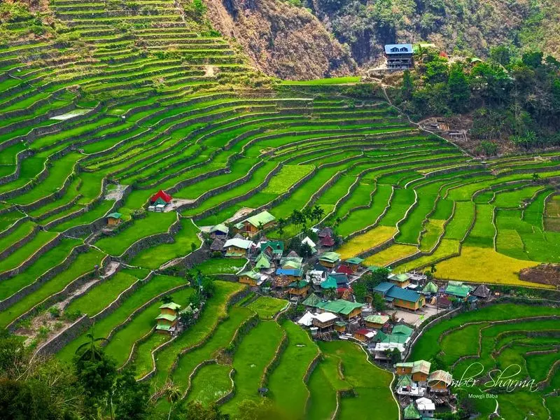 Batad Rice Terraces, Philippines