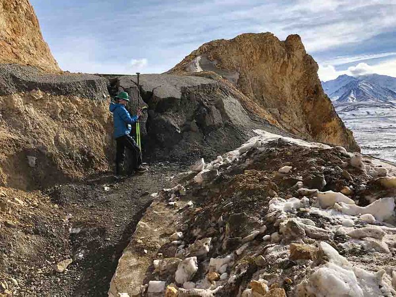 Denali National Park