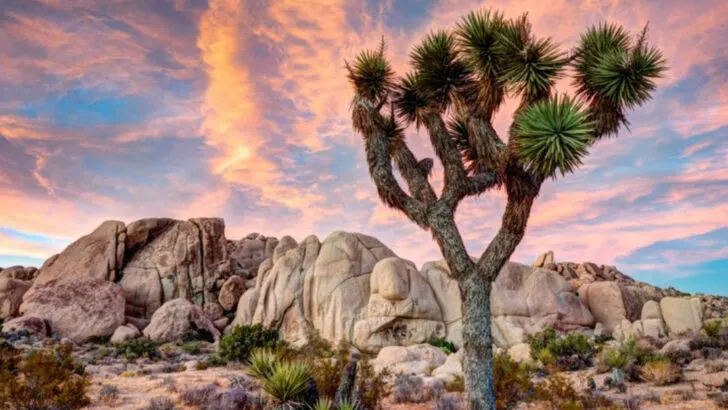 After Visiting 50+ National Parks, These Are the 7 I Keep Going Back To