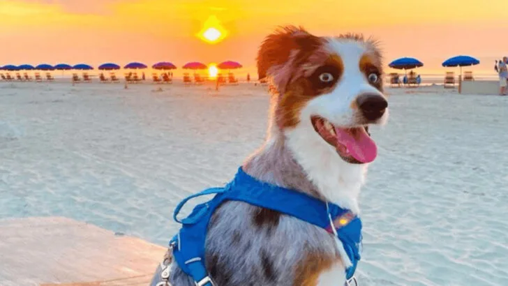 Hilton Head Island Is Expensive and Crowded, but Here’s Why I Still Love It