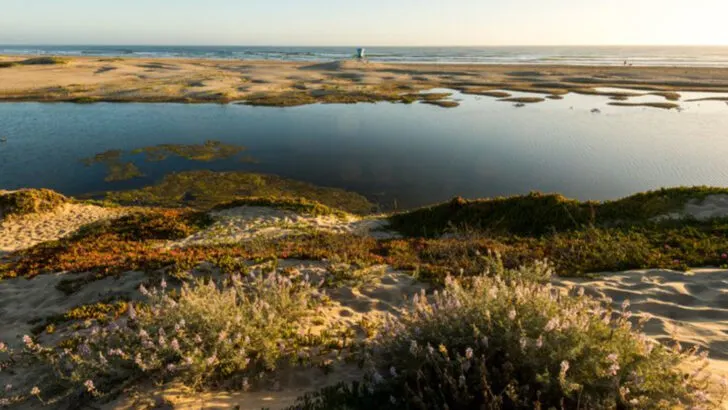 One of California’s Most Underrated Beaches Comes With Ocean Views and Fresh Seafood