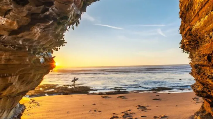 This City Feels Like a National Park With a World-Class Food Scene