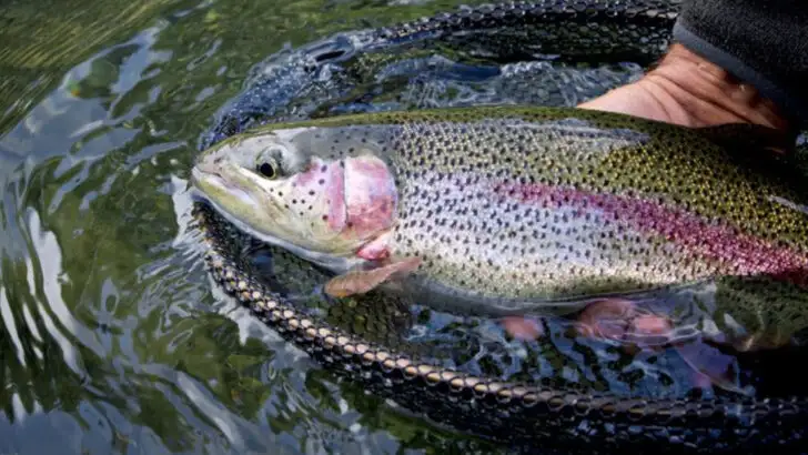 This small mountain town offers world-class fly fishing, a direct route to Yellowstone, and the longest main street in America