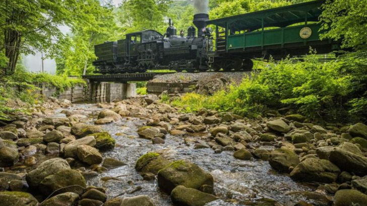 West Virginia Is Home to the Perfect Summer Road Trip