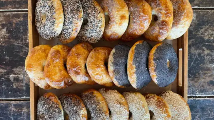 10 Connecticut Bagel Shops That Could Rival New York’s