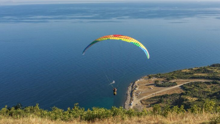 10 Reasons Why New Zealand Should Be Your Next Epic Vacation Destination — and What to Do There