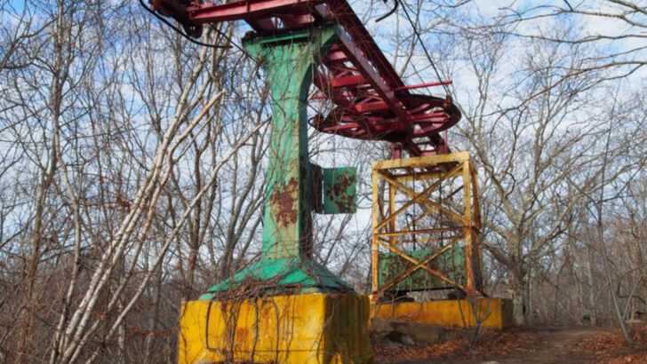 8 forgotten U.S. amusement parks that once drew massive crowds