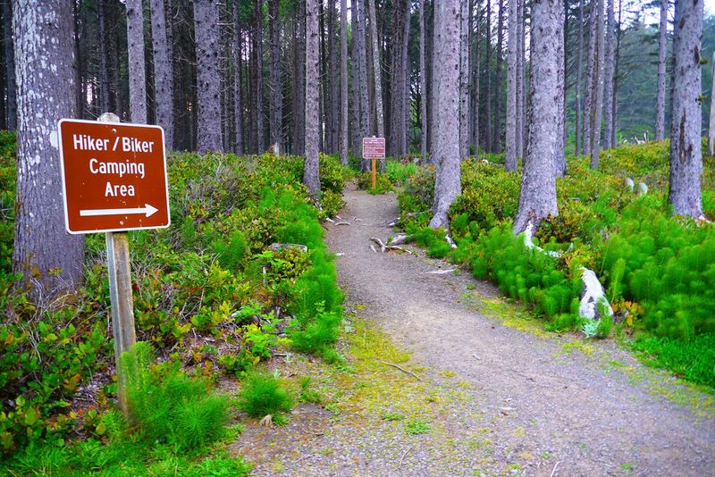 Cape Lookout State Park