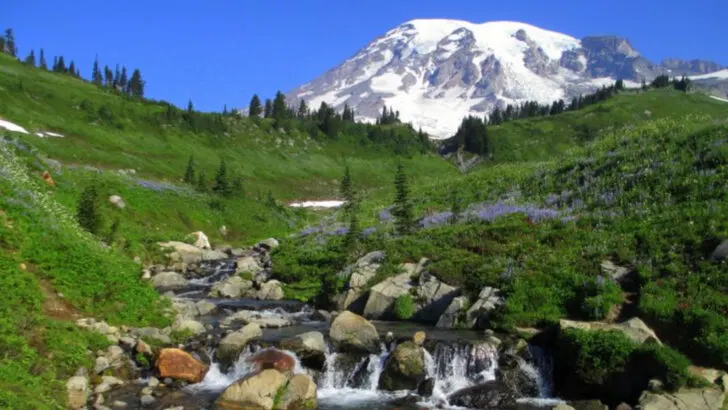 11 fun family day trips you can take from Seattle Washington