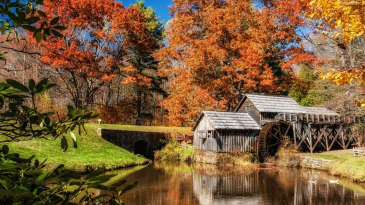 12 Family Road Trips Through the Blue Ridge Parkway That Are Best in Late August