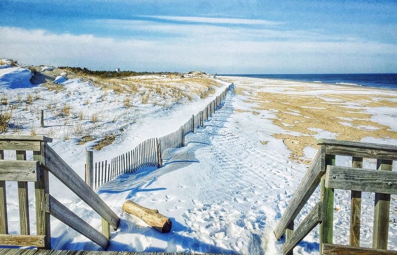 Visit Cape Henlopen State Park