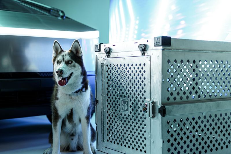 Portable Pet Crate