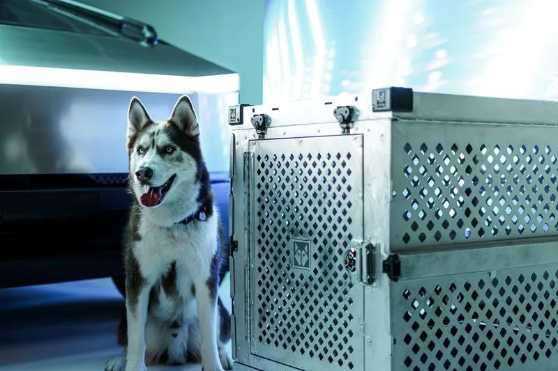Portable Pet Crate