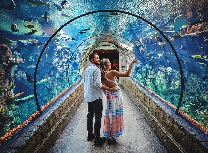 Shark Reef Aquarium at Mandalay Bay