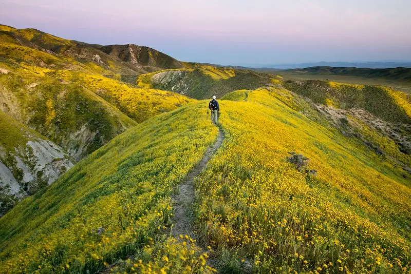 Carrizo Plain National Monument, California