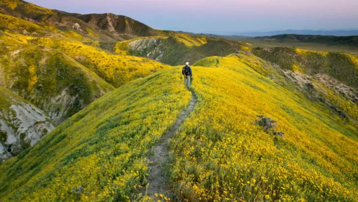 14 unexpected U.S. spots that became travel favorites in 2025