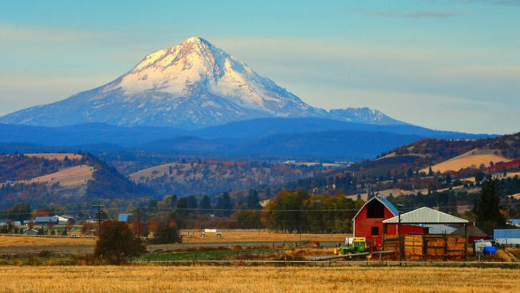 15 Best Day Trips and Road Trip Ideas from Portland, Oregon