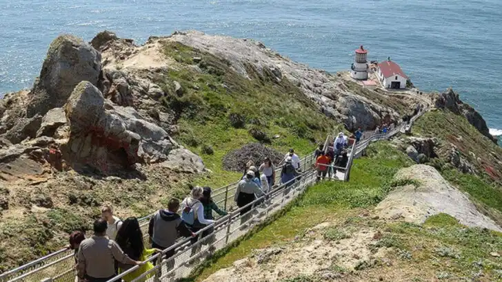 15 things to see and do around Point Reyes National Seashore