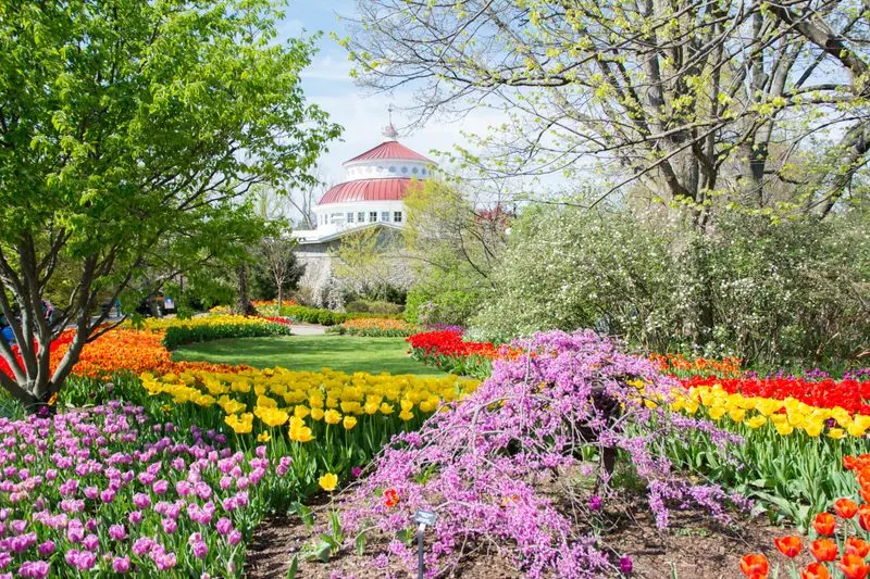 Cincinnati Zoo & Botanical Garden