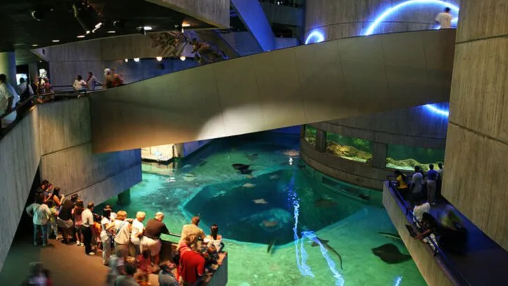 19 fun things to do in Baltimore with kids on your next family trip