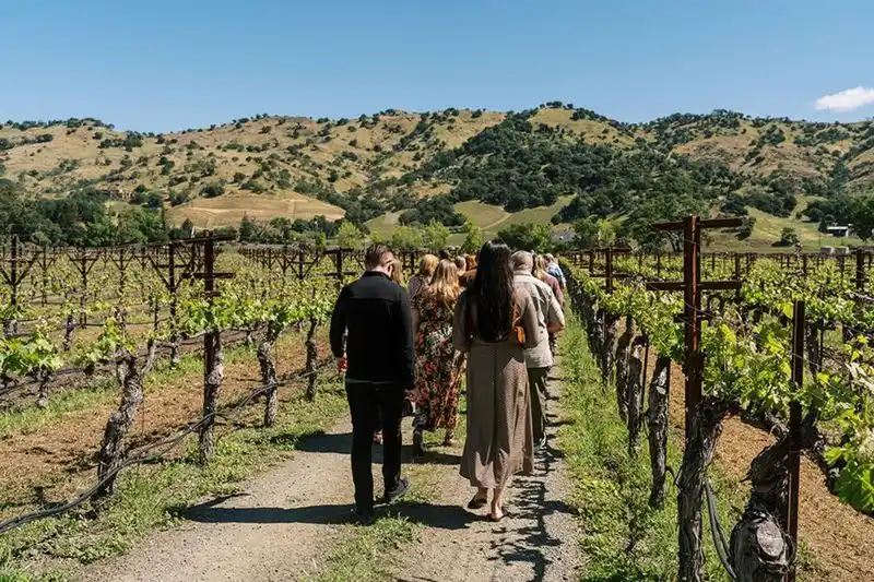 Napa Valley (Napa County)