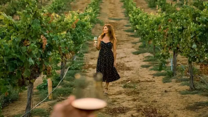 6 California Wine Regions Tourists Overcrowd & 5 Where Locals Actually Go to Sip and Relax