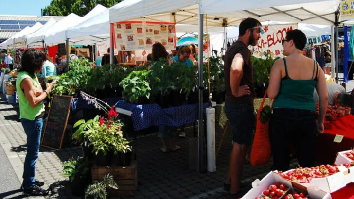 7 Pacific Northwest Farmers Markets That Shine Over Labor Day Weekend