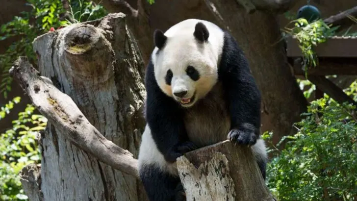 8 California attractions that are just as much fun as Disneyland and Hollywood