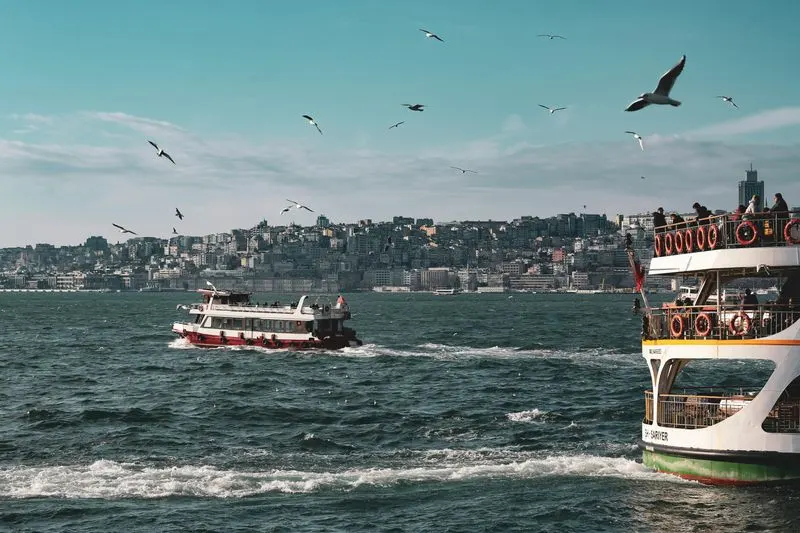 Ferries and Seagulls: The Daily Commute