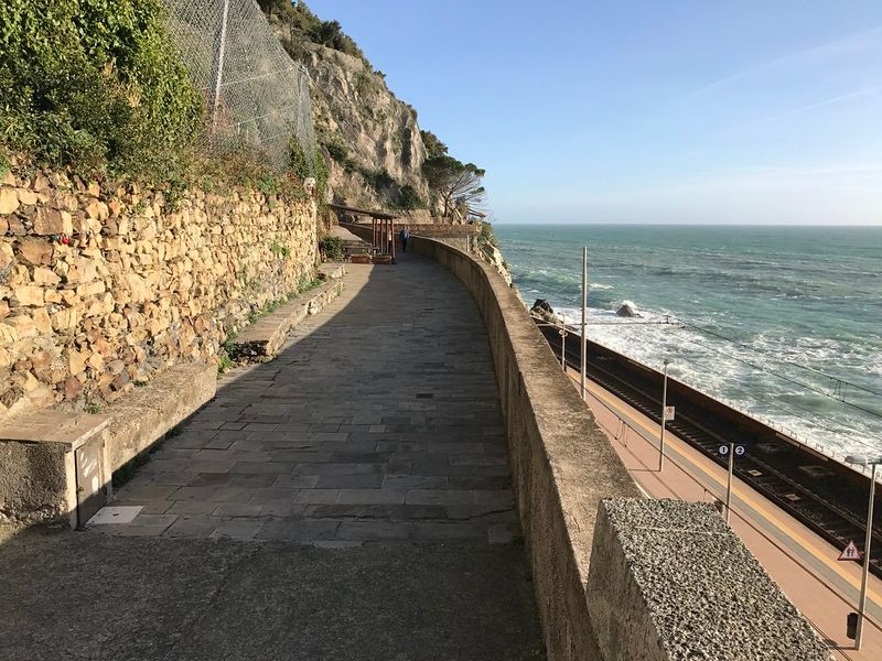 Easy, Scenic Walking Trails for All Ages