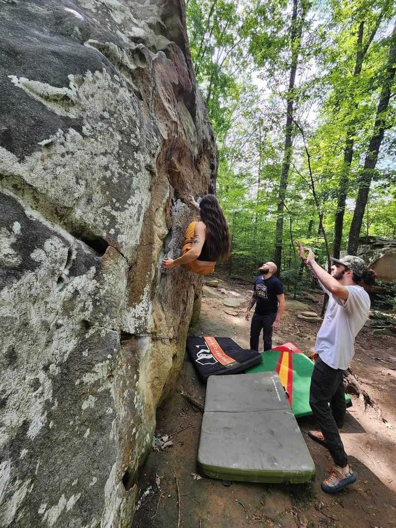 Year-Round Discovery & Events