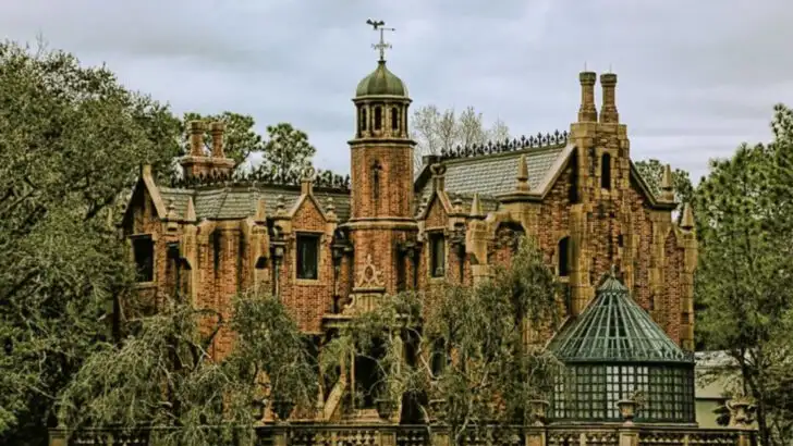 After countless theme park visits, these are 8 rides I’ll always wait for (and 4 I skip every time)