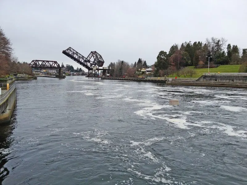 Ballard Locks and Fish Ladder