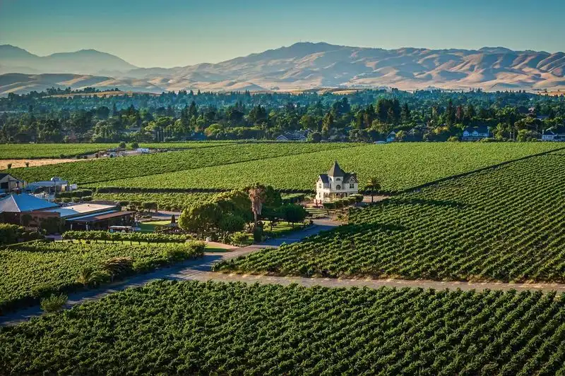 Livermore Valley (East Bay, Alameda County)